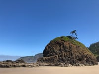 Image 1 of Hood 2 Coast ride